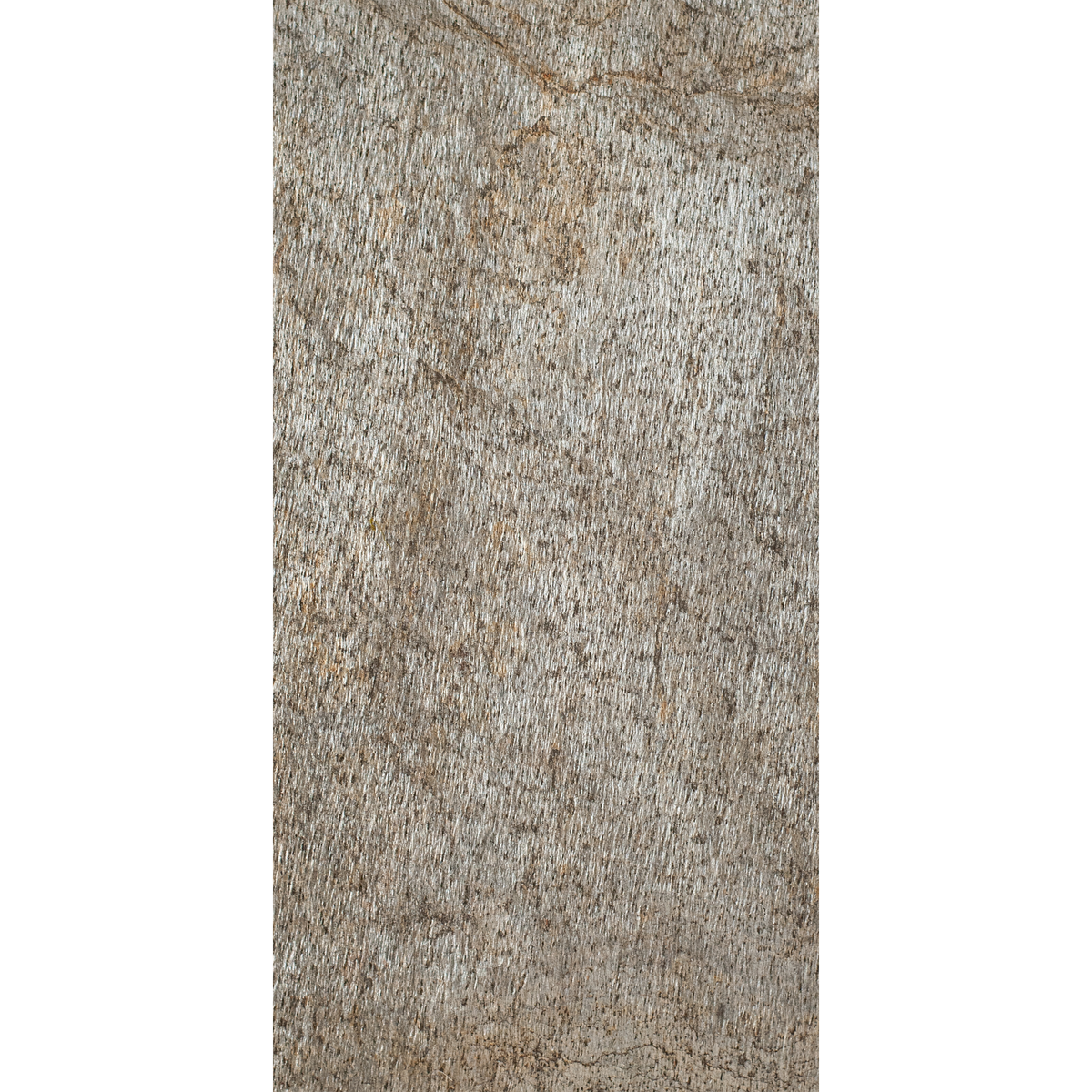Plateado Brillo Oro