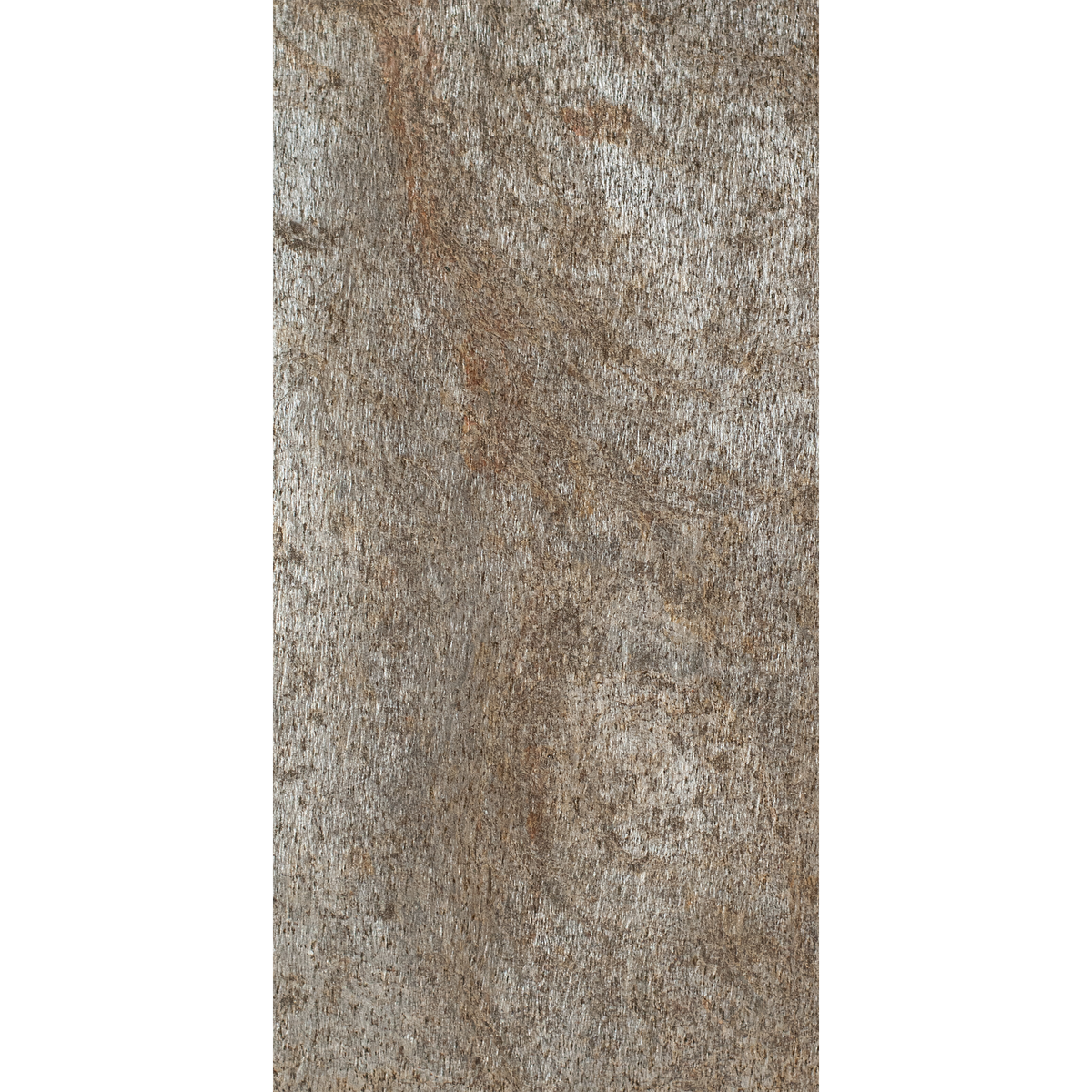 Plateado Brillo Oro