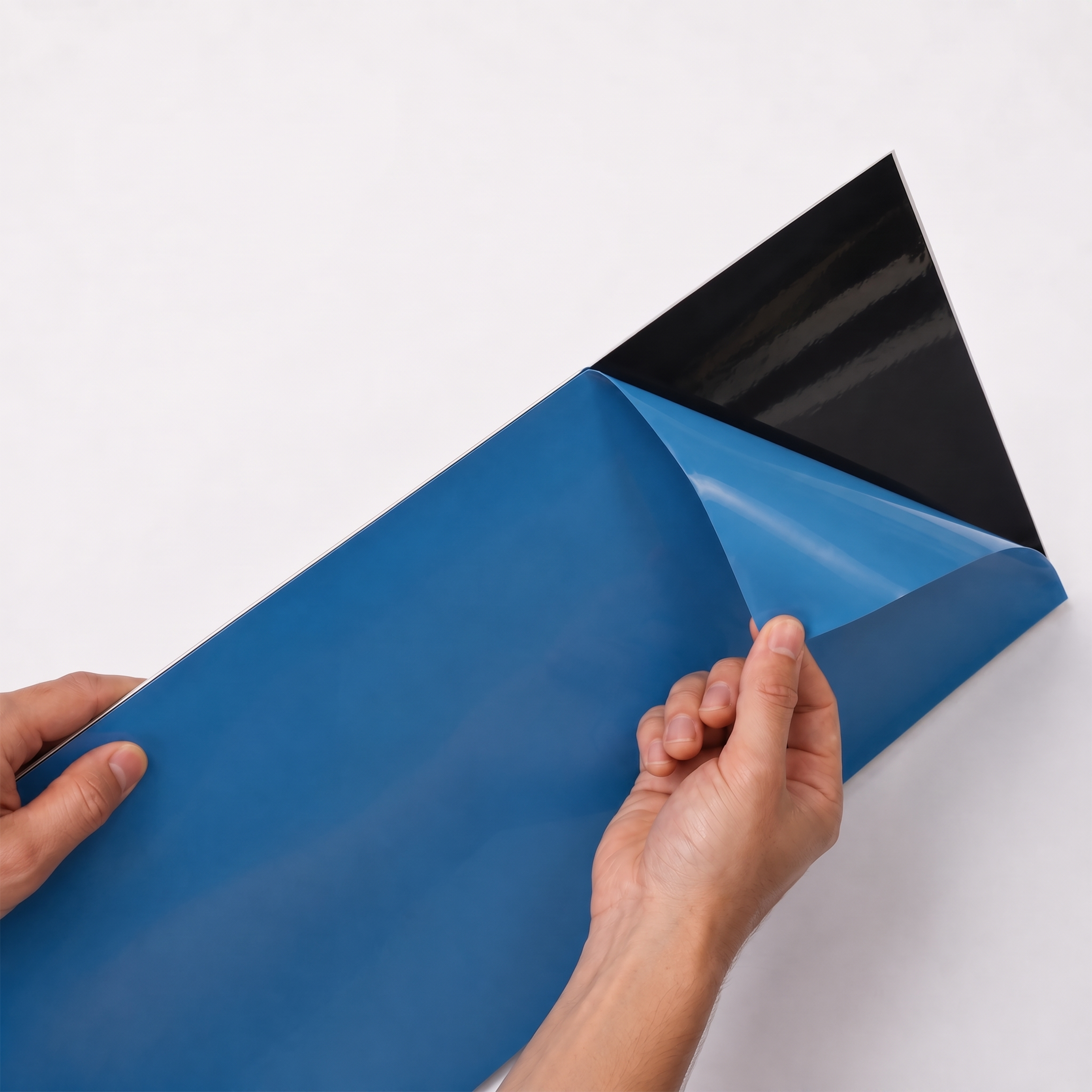 Negro Línea 
