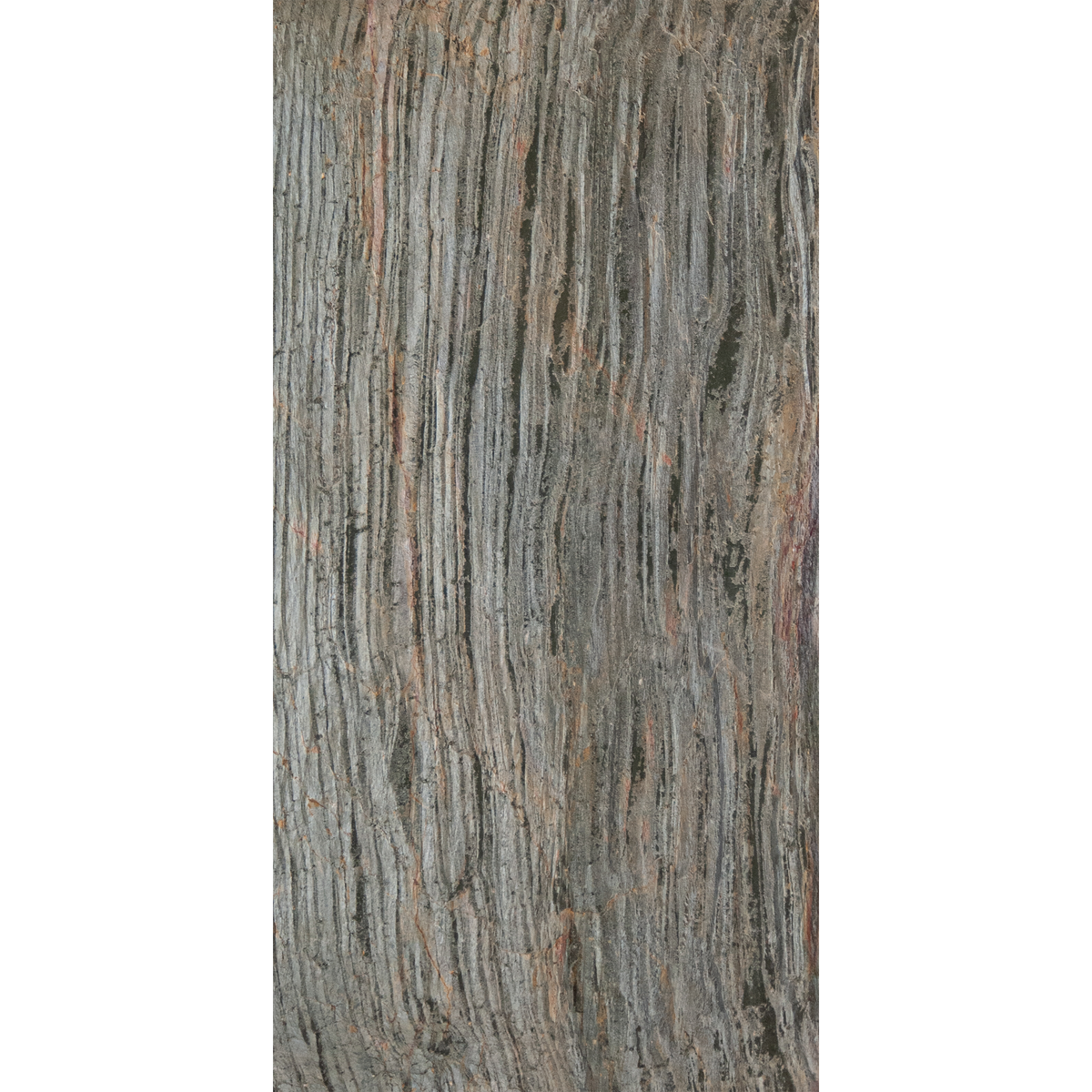 Bosque en llamas