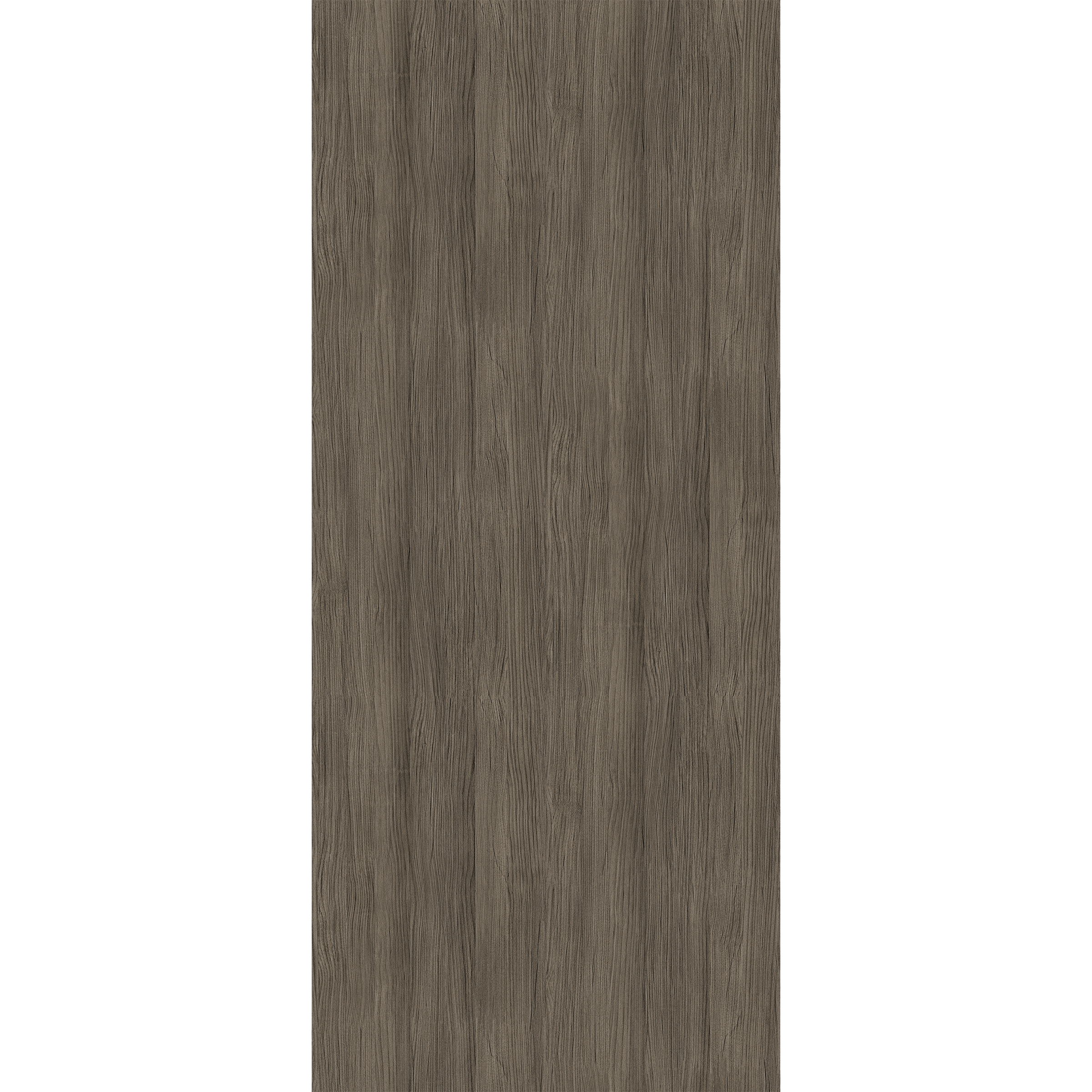 Dark Wood