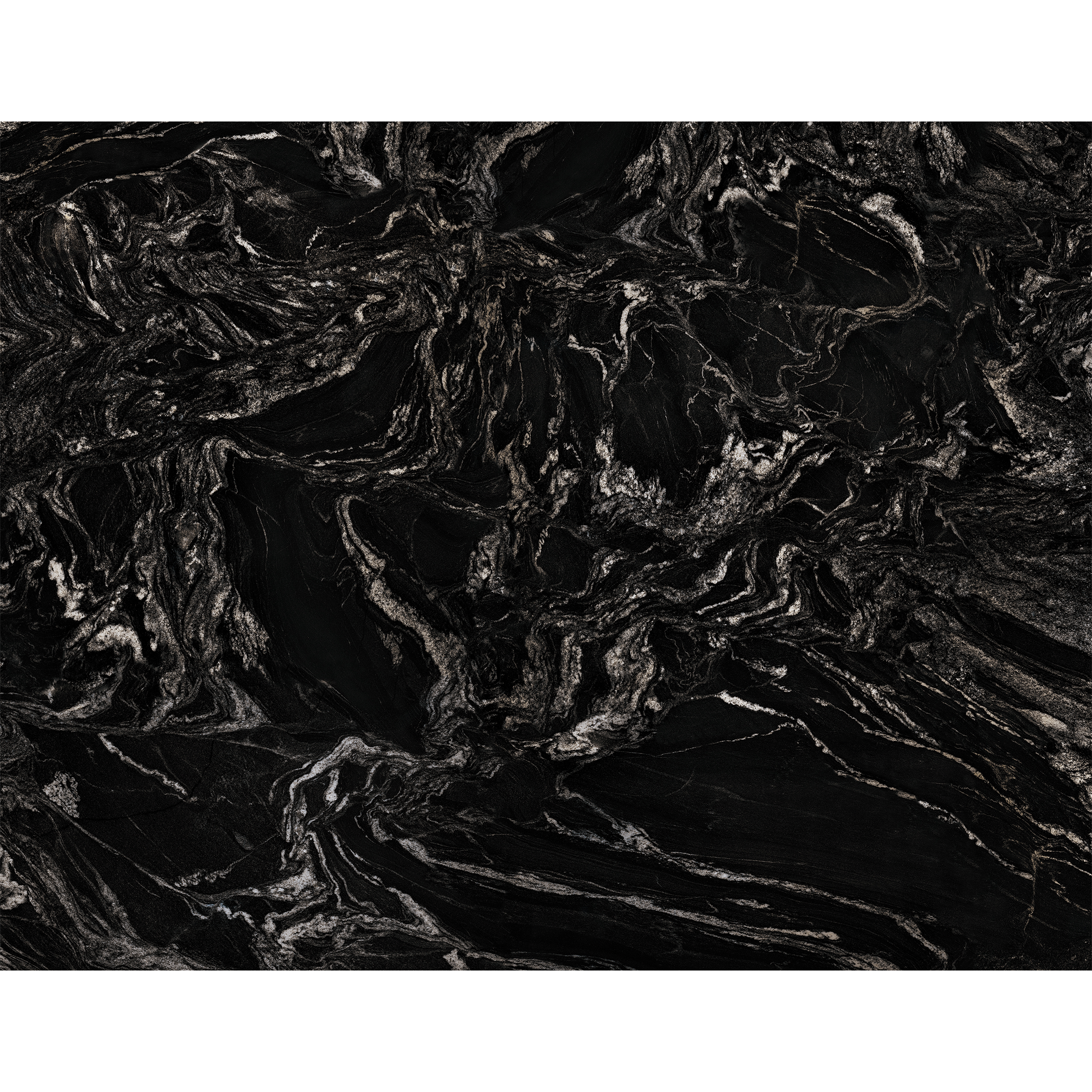 Black Maize