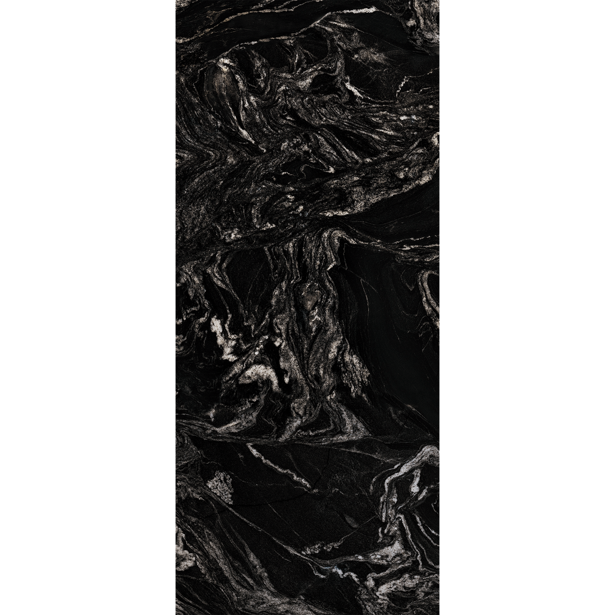 Black Maize