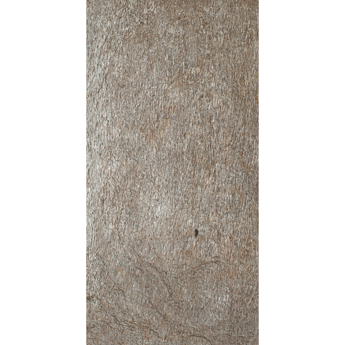 Plateado Brillo Oro