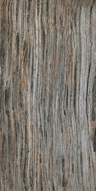 Bosque en llamas