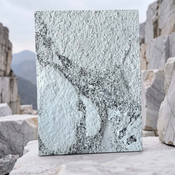 Fossil Granite